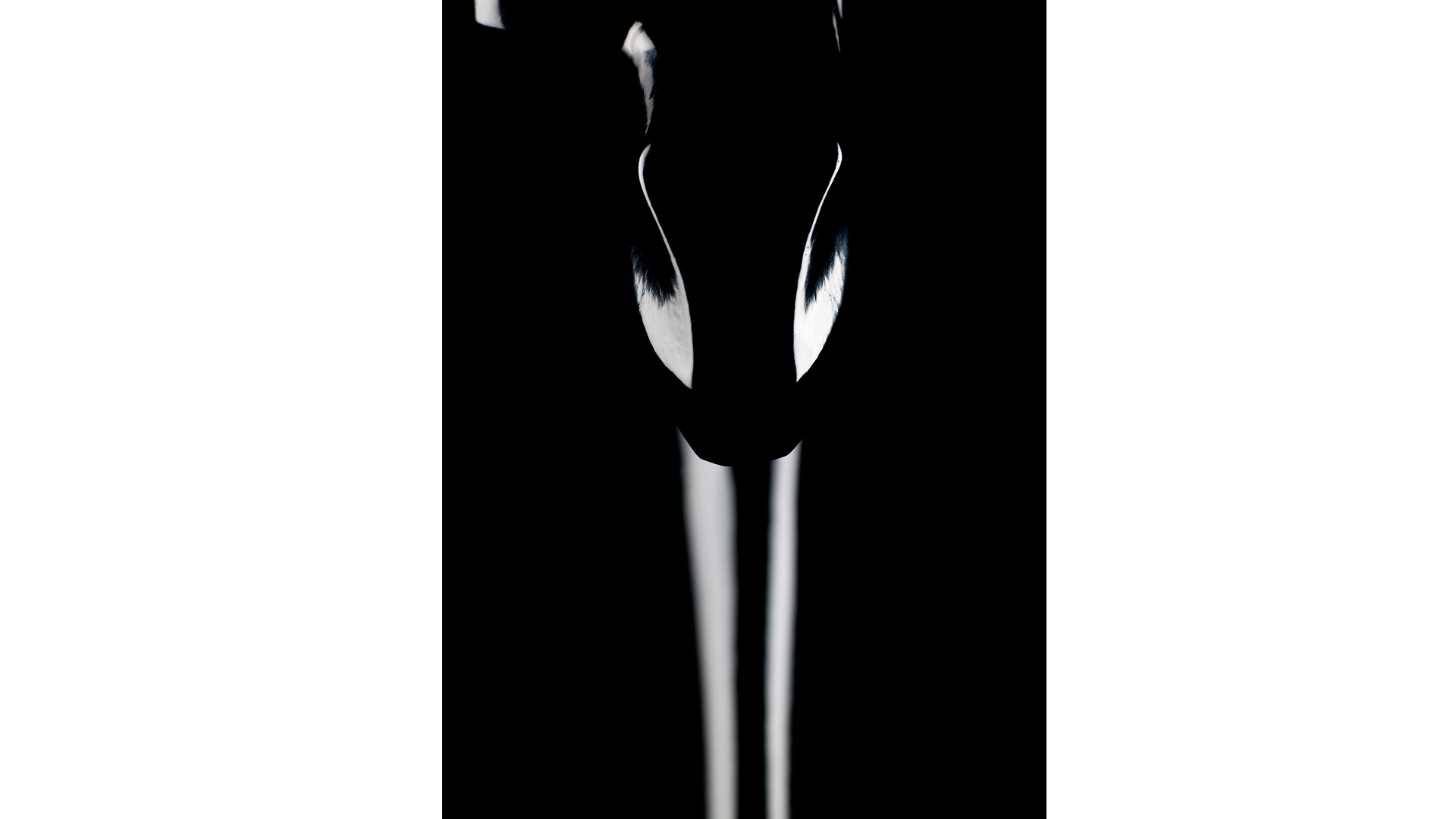 Byarum kattsoffa svart/oljad ek