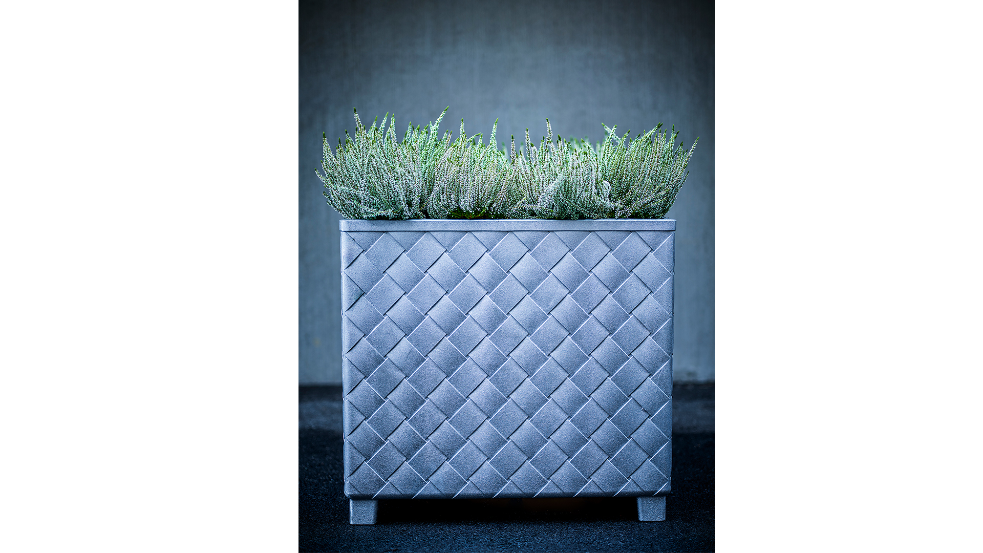 Näver växtkärl natur- rå aluminium no.3