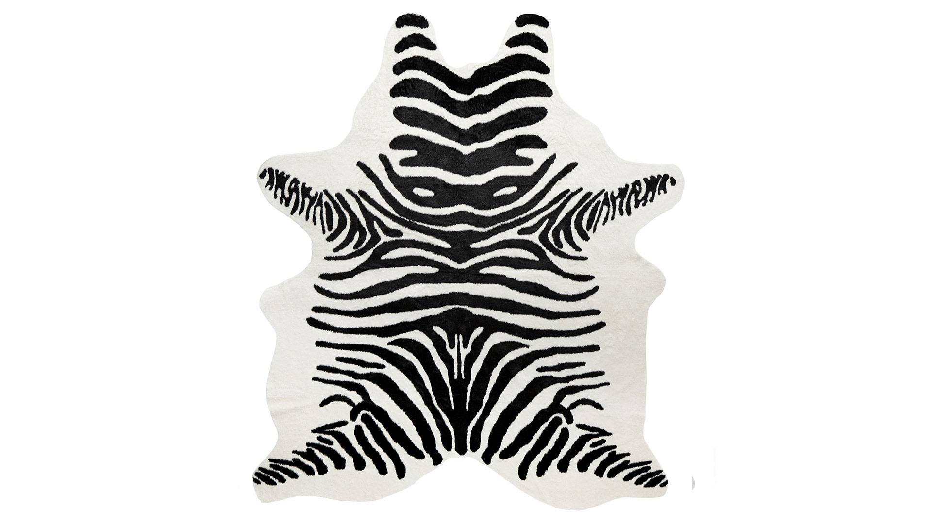 KF1001991_1 Victor kohud "Fake" zebra