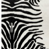KF1001991_2 Victor kohud "Fake" zebra