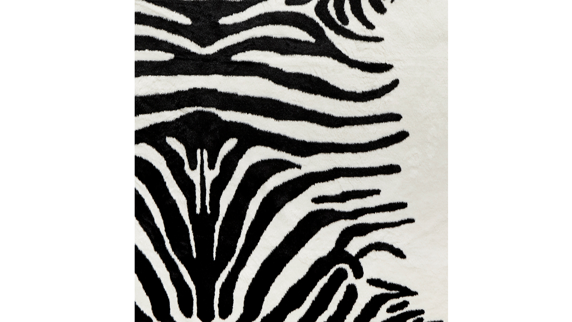 KF1001991_2 Victor kohud "Fake" zebra