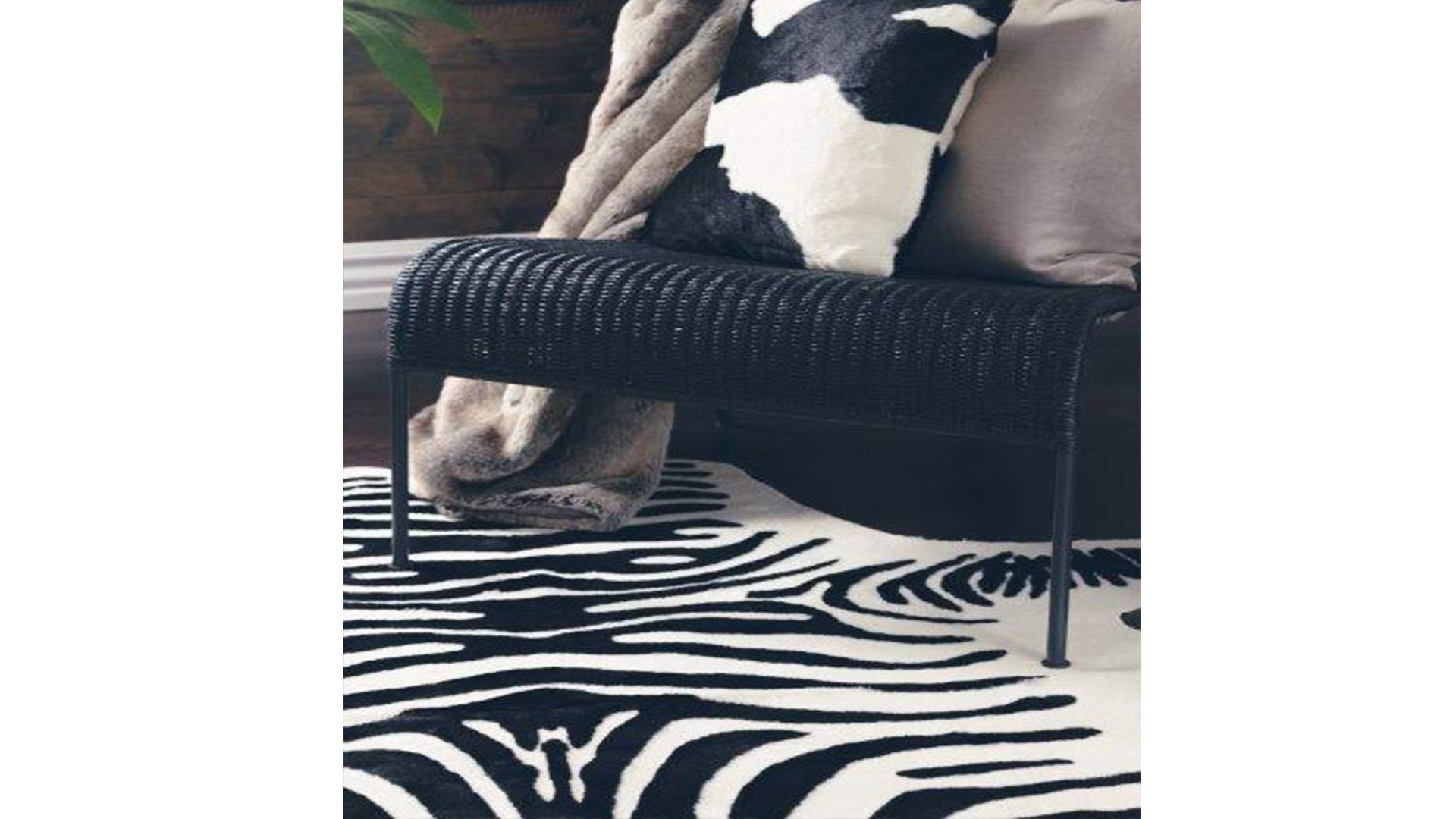 KF1001991_3 Victor kohud "Fake" zebra