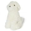 Curly Milou hund vit