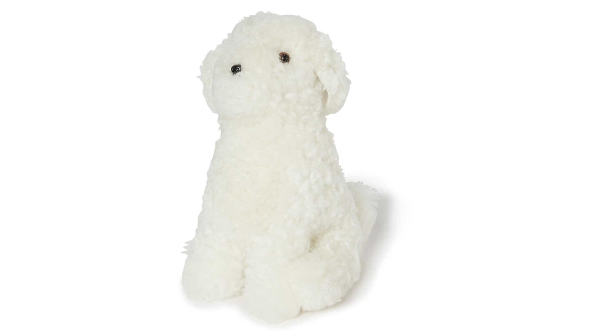 Curly Milou hund vit