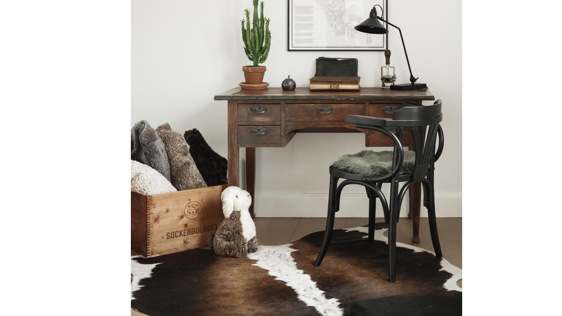Curly Milou hund ljusbrun/vit